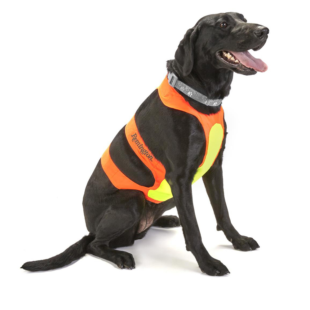 Coastal for Hunting Dogs Захисний сигнальний жилет для мисливських собак S 9-16 кг (R1900_ORGSML) Coastal for Hunting Dogs Захисний сигнальний жилет для мисливських собак S 9-16 кг (R1900_ORGSML)